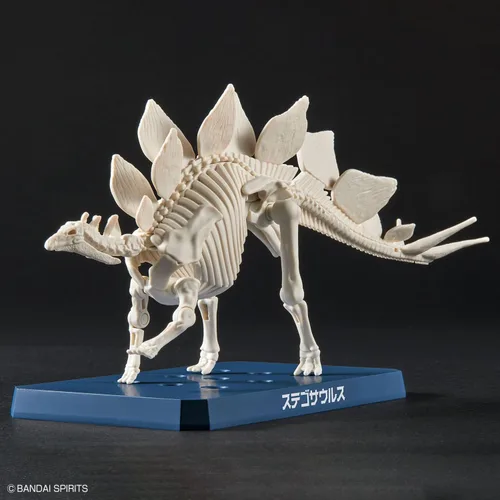 Vista 5 de Bandai Hobby - Plannosaurus - #03 Stegosaurus, kit de modelo de dinosaurio Bandai Spirits