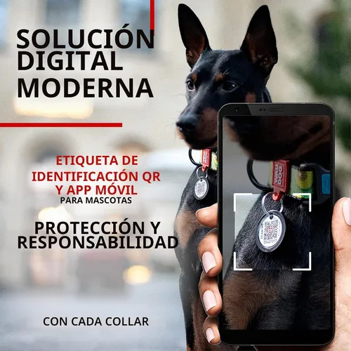 Vista 3 de WAUDOG Collar de nailon para perros – Collar ajustable para perros grandes, pequeños y medianos – Collares de cachorros para perros de razas grandes