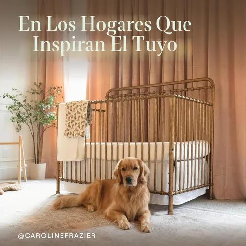 Vista 6 de NAMESAKE Winston - Cuna convertible de metal 4 en 1 en oro vintage, certificado Greenguard Gold
