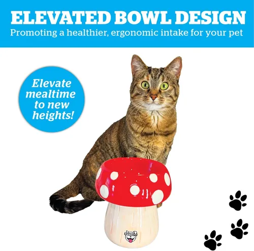 Vista 5 de Cuenco elevado de hongos para gatos, cuenco elevado de cerámica para alimentos, agua, cuencos de comida elevados para perros pequeños, bonito regalo