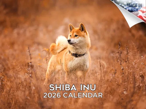 Vista 82 de Calendario de Lebrel Afgano 2025 2026, calendario mensual de pared de raza canina, 12" x 18" abierto, papel grueso sin traspaso, ideal para regalo