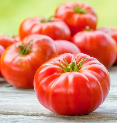 Vista 17 de Burpee 'Big Rainbow' Heirloom, Tomate Grande Beefsteak para Rebanar, 100 Semillas Sin OGM