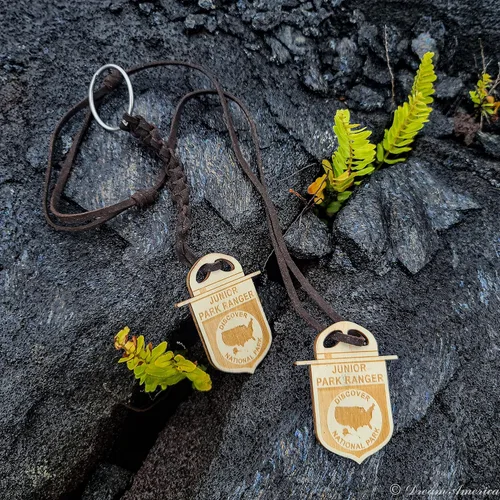 Vista 4 de National Park Junior Ranger - Cordón de exhibición con tubo de almacenamiento, organizador de aventura para insignias, alfileres y parches, diseñado