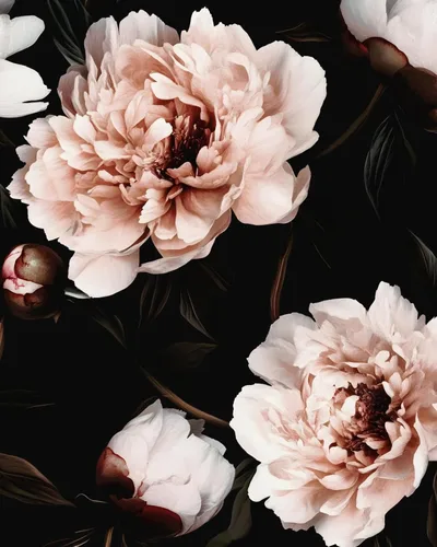 Vista 24 de Black Vintage Floral Peel and Stick Wallpaper 17.5" x 118" Negro