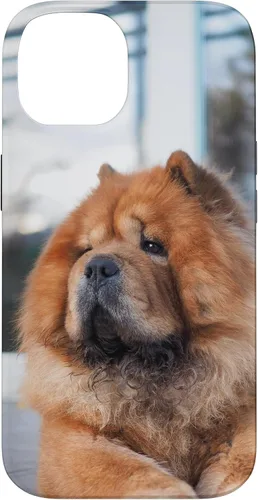 Vista 4 de Funda Chow Chow Chow para iPhone 15 Pro Max
