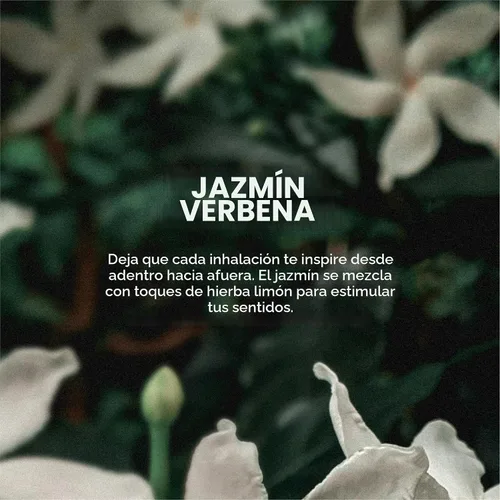 Vista 3 de EO Desodorante de espray orgánico, 4 onzas (Paquete de 3), Jazmín Verbena, a base de plantas orgánicas, extractos botánicos