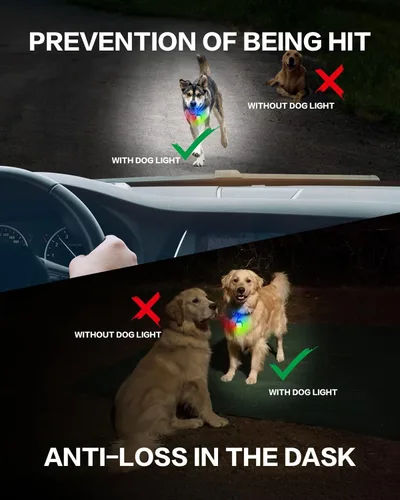 Vista 3 de Paquete de 2 luces para collar de perro, luces para perros para caminar por la noche, 4 modos, luz impermeable para perros con clip recargable