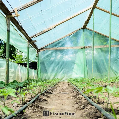Vista 8 de Fencer Wire Lámina de plástico transparente para invernaderos de 6 mil resistente a los rayos UV, cubierta de invernaderos para horticultura