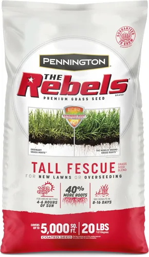 Vista 17 de Pennington The Rebels mezcla de semillas de césped Tall Fescue, 3 libras