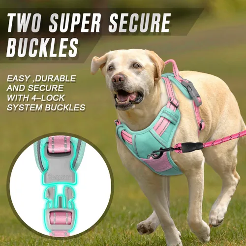 Vista 28 de BARKBAY - Arnés para perro sin tirones con clip frontal, material resistente y reflectante, asa de fácil control para pasear perros grandes