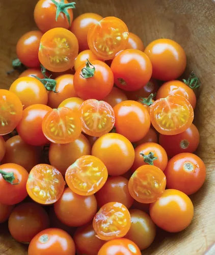 Vista 7 de Burpee Napa Grape - Semillas de tomates uva, 30 semillas