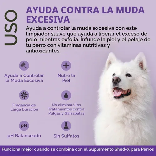 Vista 3 de Suplemento nutricional Synergylabs SHED-X Dermaplex Shed Control