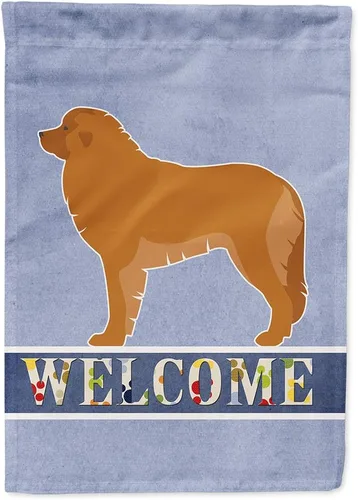 Vista 128 de Caroline's Treasures BB5552GF Affenpinscher Bandera de bienvenida para jardín, bandera decorativa para patio exterior, patio, parterres