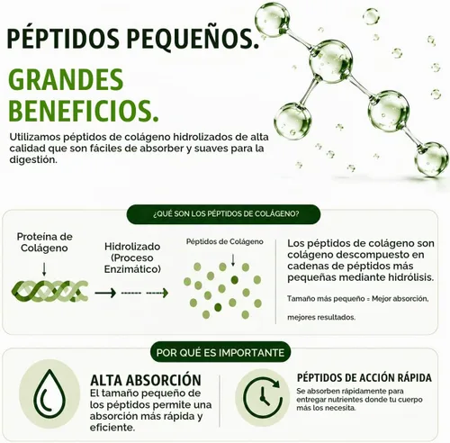 Vista 4 de HCL HERBAL CODE LABS Polvo de péptidos de colágeno con vitamina C y ácido hialurónico, fuentes más limpias y súper alta absorción, multitipo