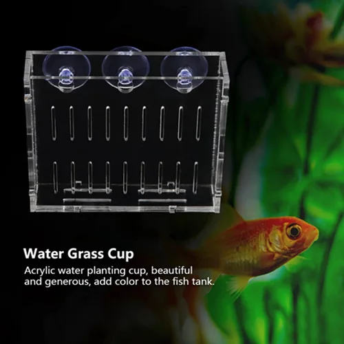 Vista 3 de Yosoo Health Gear Taza de plantación de acuario, maceta acrílica para plantas acuáticas, soporte para macetas acuáticas con 3 ventosas, taza