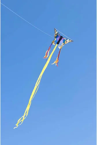 Vista 5 de HQ Kites R Butterfly Kite - Cometa de una sola línea de 20 pulgadas con cola