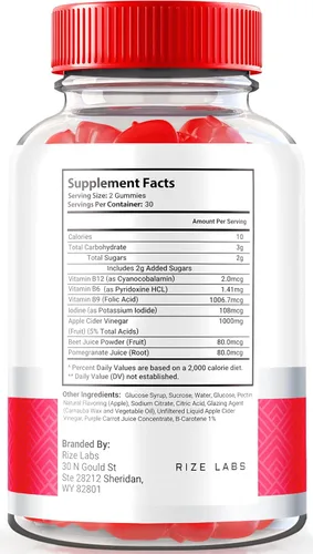 Vista 2 de rize labs - Gomitas Keto Chews ACV para bajar de peso 525 mg - Dieta de grasa del vientre - Fórmula avanzada (120 gomitas)