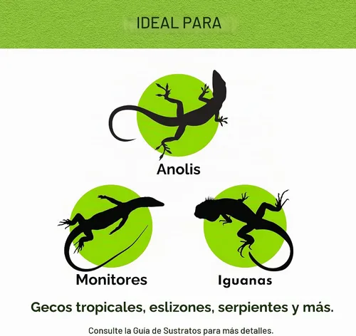 Vista 4 de Forro de sustrato para terrario de reptiles de Zilla, verde, 10G, 9.75" x 19.75