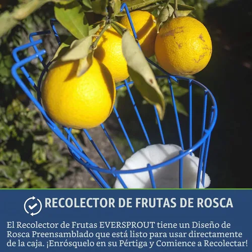 Vista 6 de EVERSPROUT - Cesta para recoger frutas, no incluye poste, solo cabeza