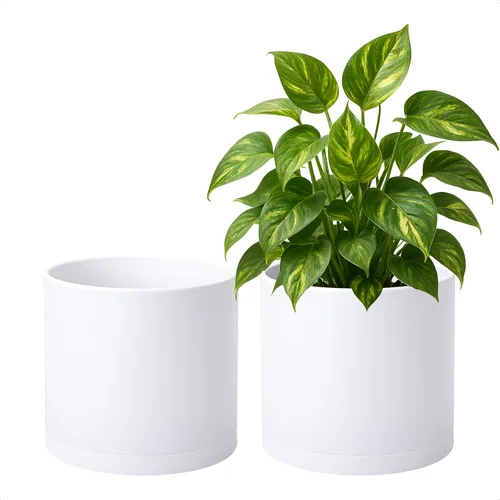 Vista 13 de D'vine Dev - Paquete de 2 macetas de plástico modernas de 4 pulgadas, pequeñas macetas de jardín para plantas con orificios de drenaje y platillos