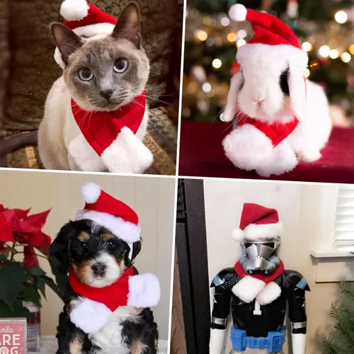 Vista 6 de Disfraz de Navidad de gato con sombrero de Papá Noel y bufanda, traje de Navidad para gatito/cachorros/decoración de Navidad para el hogar