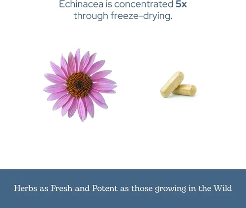 Vista 6 de Eclectic Institute Raíz de purpurea de equinácea no transgénica fresca y liofilizada Apoyo inmunológico 90 CT (360 mg)
