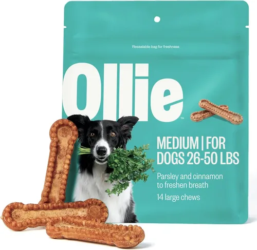 Vista 10 de Ollie Masticables dentales para perros extra pequeños, 12 onzas, aliento fresco, golosinas de limpieza de dientes, palos para el cuidado bucal