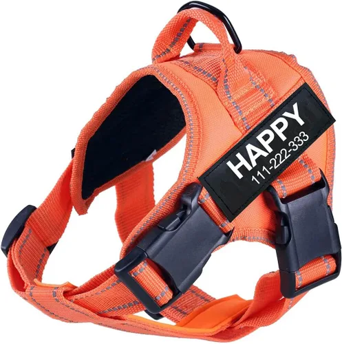 Vista 6 de Arnés para perro con nombre personalizado con parche personalizado, chaleco para mascotas sin tirones, fácil control para entrenamiento de caminatas