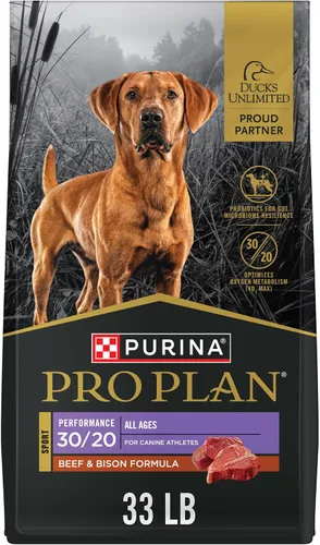 Vista 13 de Purina Pro Plan Sport Performance 30/20 - Alimento seco para perros con fórmula de carne de res y bisonte, bolsa de 6 libras
