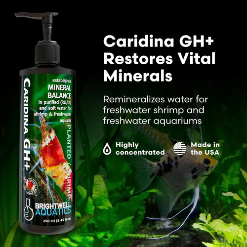 Vista 2 de Brightwell Aquatics Caridina GH+ Suplemento mineral restaura el sodio de calcio, magnesio y potasio en agua suave RO/DI para la cría de camarones