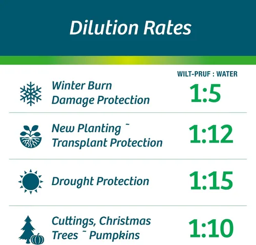 Vista 8 de Wilt-Pruf® Concentrado Protege contra daños en invierno, sequías y estrés Simplemente rocía y deja secar Bloquea la humedad con película