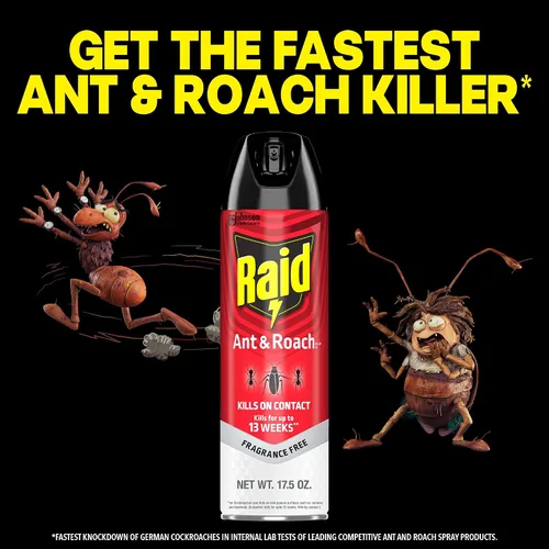 Vista 6 de Raid Asesino de hormigas y cucarachas, sin fragancia, 17.5 onzas