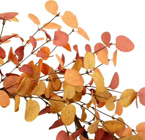 Vista 3 de Corona de otoño de hojas de eucalipto de 18 pulgadas – Corona artificial de otoño para puerta delantera, pared del hogar y decoración de ventana