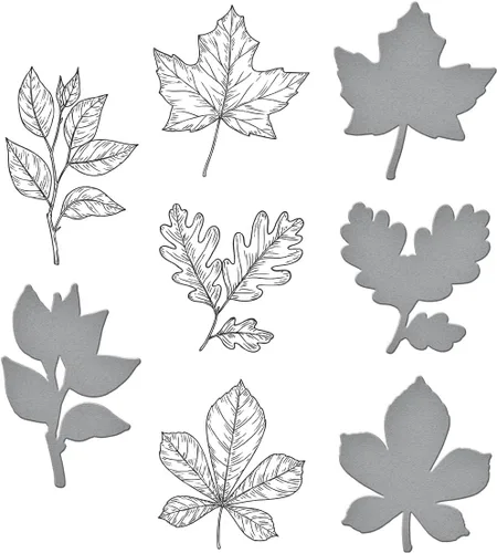 Vista 4 de Spellbinders BP-082 - Juego de placas de prensa y troqueles de hojas de otoño de la colección BetterPress Autumn