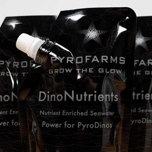 Vista 3 de DinoNutrient Paquete de 3 – Agua de mar filtrada del océano Pacífico con nutrientes para plancton bioluminiscente