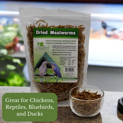Vista 3 de Songbird Essentials Gusanos de harina secos para aves silvestres, gusanos de harina 100% naturales para pollos, pájaros azules, reptiles y patos