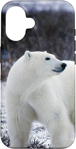 Vista 32 de Polar Bears Animal Nature Case for iPhone 17