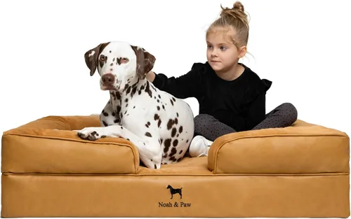 Vista 50 de NOAH & PAW Cama para perros pequeños, 20 x 15 x 8 pulgadas, cama para gatos de interior, espuma viscoelástica ortopédica de cáscara de huevo