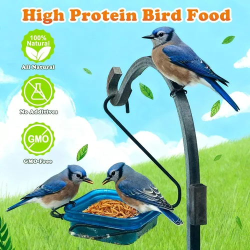 Vista 4 de Amzey Gusanos secos de harina de 2 libras, gusanos de comida 100% naturales para pollo y pájaros, alimento orgánico para gallinas ponedoras, alto