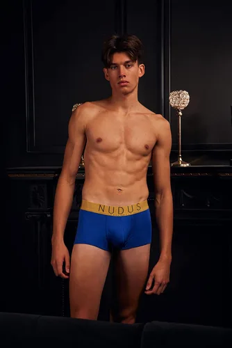 Vista 4 de NUDUS Ropa interior de bambú de 2 bolsas para hombre, paquete de 4 calzoncillos tipo caja de regalo, calzoncillos tipo bóxer