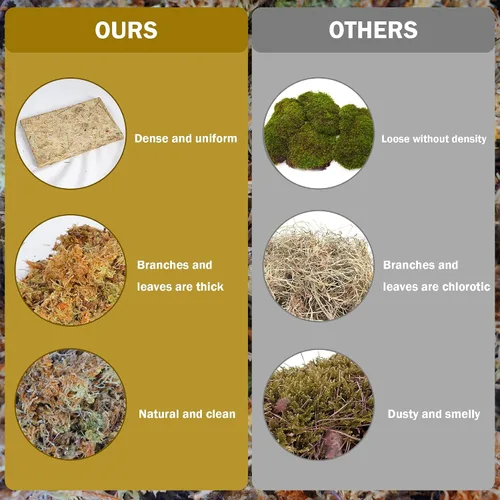 Vista 2 de Hourleey Musgo de esfagnum para plantas, maceta de musgo seco de fibra larga natural de alta calidad, musgo de turba esfagnum a granel