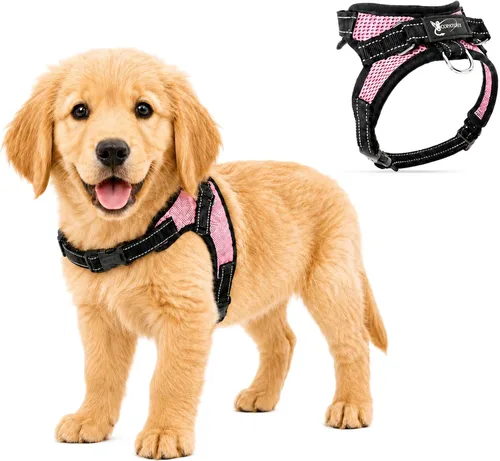 Vista 29 de Arnés ajustable reflectante para perro con asa evita tirones, XXS, Negro