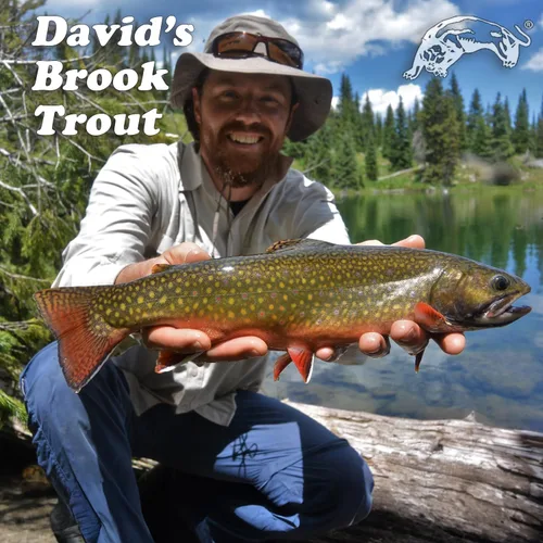 Vista 4 de Panther Martin Classic Regular Trout Inline Spinner (1/32 oz to 1/2 oz)