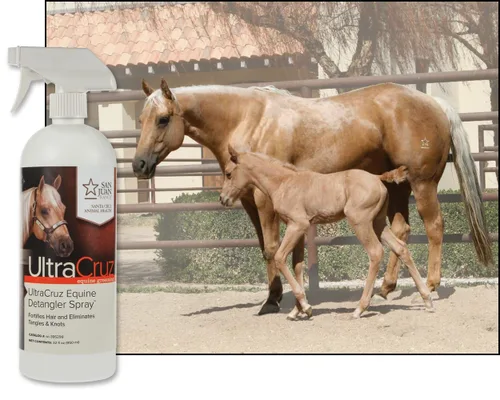 Vista 4 de UltraCruz Espray desenredante equino, 32 onzas