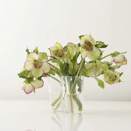 Vista 3 de Iittala Alvar Aalto - Jarrón transparente (4.724 in)