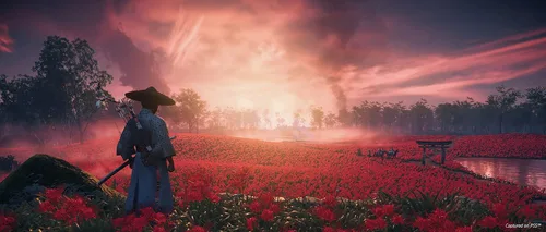 Vista 7 de Ghost of Tsushima Director's Cut - PlayStation 5