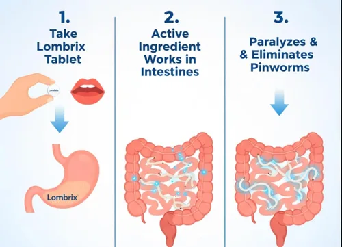 Vista 5 de Caja de pamoato pirantel de 180 mg con 10 tabletas Apoyo al equilibrio intestinal, adultos y toda la familia, limpieza digestiva de uso único