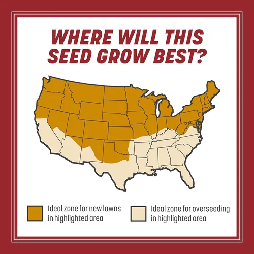 Vista 6 de Pennington Smart Seed Raigrás perenne 3 libras