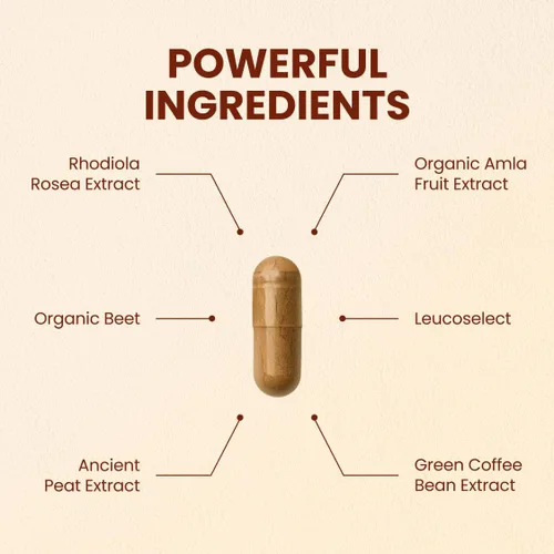 Vista 2 de CHOQ Acción 2.0 Energía y apoyo a la circulación – Rhodiola Rosea, Remolacha y Suplemento B12 – Potenciador de óxido nítrico para hombres y mujeres