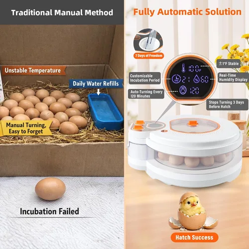Vista 2 de Incubadora de huevos para incubar huevos: Turner automático ±1°F Temperatura